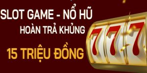 8day lừa đảo ảnh đại diện